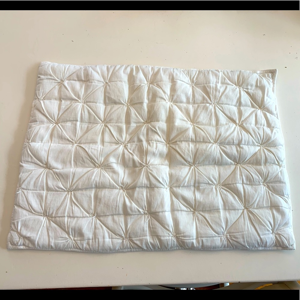 Pottery Barn Standard Quilted Sham